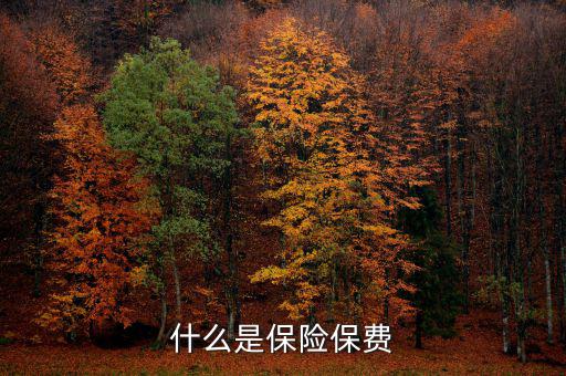 什么是保單保費，什么是保險保費