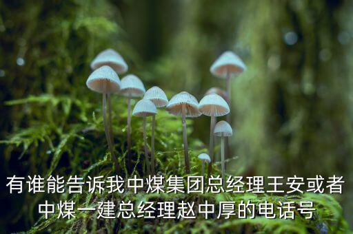 中煤王安是什么級(jí)別，王安被稱(chēng)為什么
