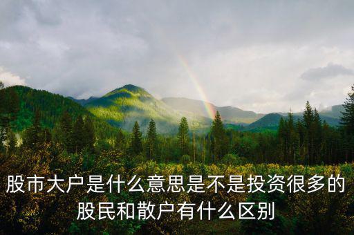 炒股大戶是什么意思，股票中的大戶是什么意思