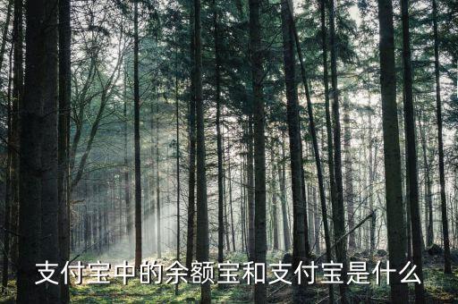 余額寶和支付寶是什么意思，支付寶里的余額寶是什么意思