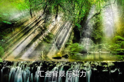 江蘇匯金控股什么背景，匯金公司是怎么回事