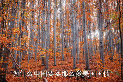 為什么要買美國(guó)國(guó)債，為什么要買那么多美國(guó)國(guó)債