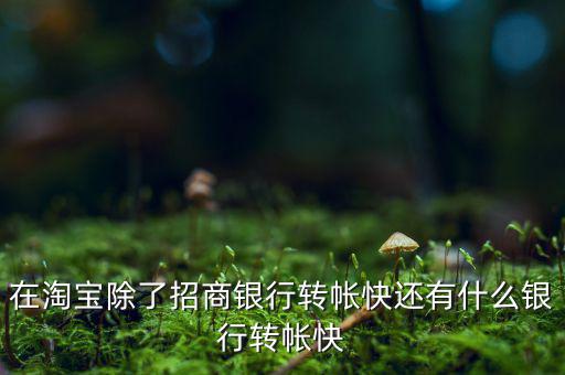 什么銀行網(wǎng)上轉(zhuǎn)賬最慢，在淘寶除了招商銀行轉(zhuǎn)帳快還有什么銀行轉(zhuǎn)帳快
