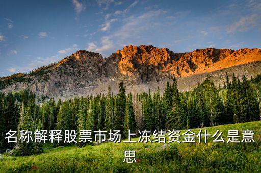 股票交易資金凍結(jié)什么意思，名稱解釋股票市場上凍結(jié)資金什么是意思