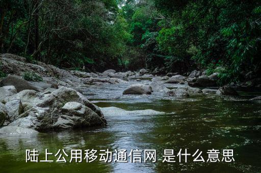 什么是公共碼頭運營商，什么是運營商