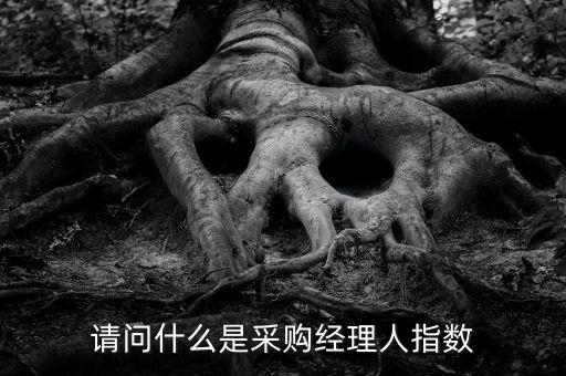 采購(gòu)經(jīng)理人指數(shù)是什么，IVEY采購(gòu)經(jīng)理人指數(shù)指的是什么