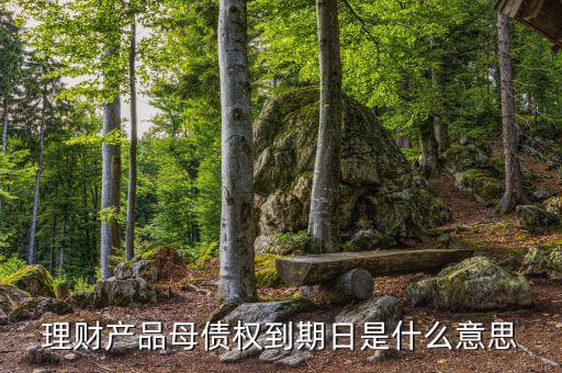 訂單債權(quán)到期什么意思，什么叫第三方到期債權(quán)