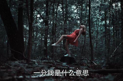 支付寶錢包一分錢是什么意思，一分錢是什么意思