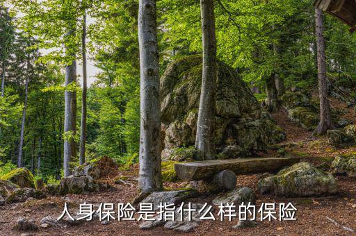 人身險(xiǎn)是什么，人身保險(xiǎn)是指什么樣的保險(xiǎn)