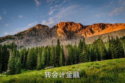 什么是外匯飽和，國(guó)外網(wǎng)友說要轉(zhuǎn)外幣給我叫我轉(zhuǎn)給她國(guó)內(nèi)的朋友她國(guó)內(nèi)的朋友銀