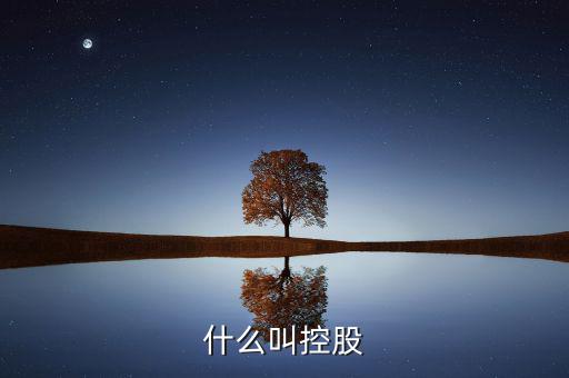 什么叫絕對(duì)控股，什么叫控股