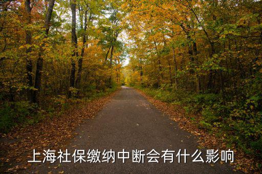 上海生育保險(xiǎn)中斷有什么影響，上海社保繳納中斷會(huì)有什么影響