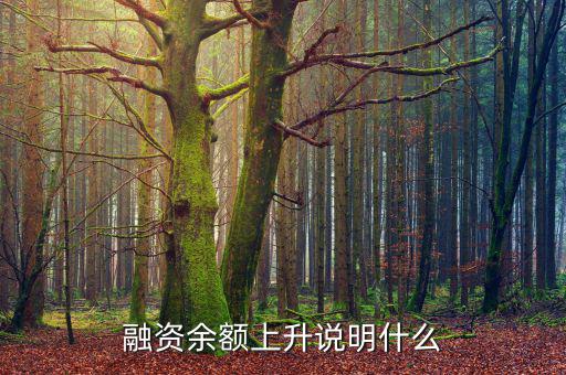 濰柴融資額度很高說明什么，融資余額上升說明什么