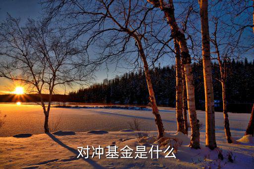 對(duì)沖基金到底是什么，對(duì)沖基金是什么