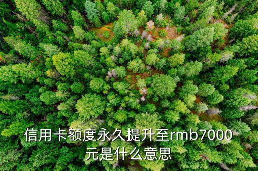 信用卡永久額度是什么意思，信用卡額度永久提升至rmb7000元是什么意思