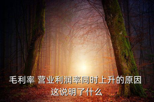毛利率增長(zhǎng)說(shuō)明什么，增值稅毛利率的高低說(shuō)明什么