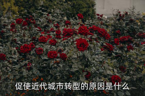 為什么城鎮(zhèn)化要轉(zhuǎn)型，促使近代城市轉(zhuǎn)型的原因是什么