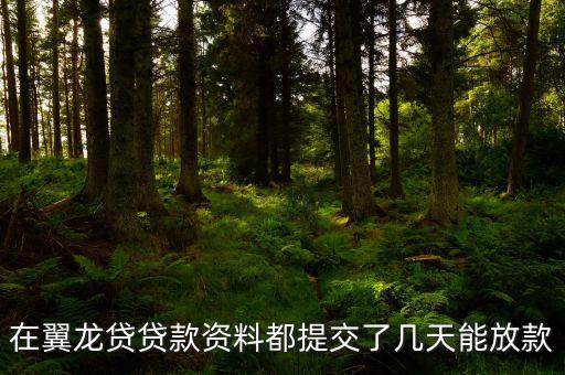 翼龍貸什么時(shí)候放項(xiàng)目，在翼龍貸貸款資料都提交了幾天能放款