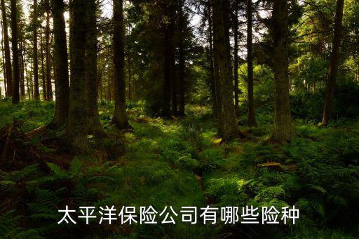 太平洋保險(xiǎn)2000多的險(xiǎn)種有什么，太平洋保險(xiǎn)公司有哪些險(xiǎn)種
