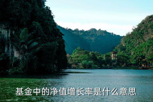 基金增長(zhǎng)率是什么意思，在基金里成立以來(lái)增長(zhǎng)率是什么意思啊如成立以來(lái)增長(zhǎng)率是80