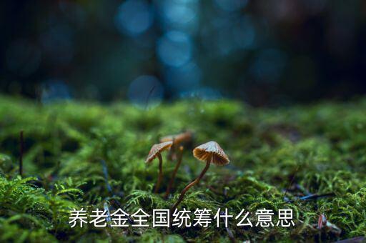 養(yǎng)老金統(tǒng)籌是什么意思，養(yǎng)老金全國統(tǒng)籌什么意思