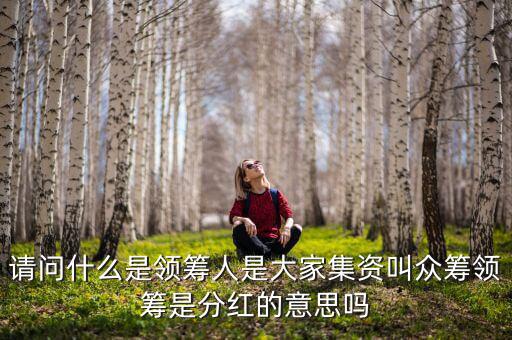 什么是領投人，請問什么是領籌人是大家集資叫眾籌領籌是分紅的意思嗎