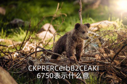 分類調(diào)控是什么意思，CKPRERCerbB2CEAKI6750表示什么意