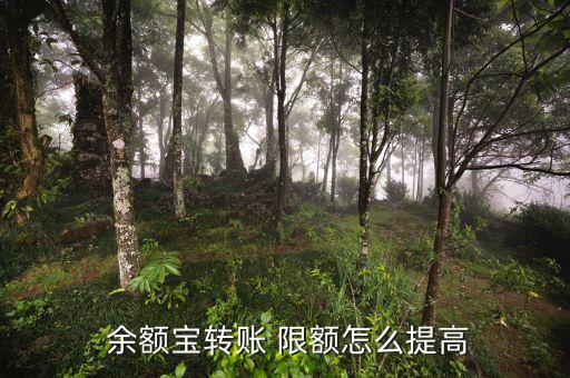  余額寶轉賬 限額怎么提高