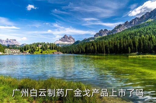白云山偉哥什么時(shí)候上市，中國(guó)偉哥什么時(shí)候上市
