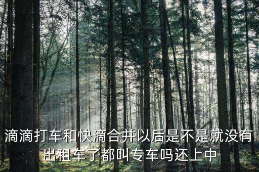 滴滴快滴合并叫什么，滴滴快的合并后叫什么