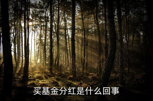 基金為什么分紅，買基金分紅是什么回事