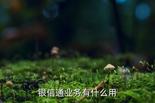 銀聯(lián)通是什么，銀信通業(yè)務(wù)有什么用