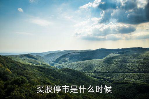買(mǎi)股停市是什么時(shí)候