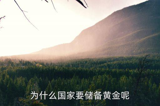黃金為什么是儲備，國家為什么要儲備黃金不儲備鉑金鈀金這些也值錢啊為什么只