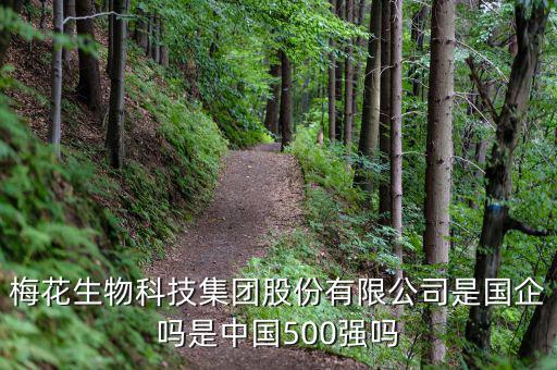 梅花生物是什么板塊，梅花生物科技集團(tuán)股份有限公司是國企嗎是中國500強(qiáng)嗎