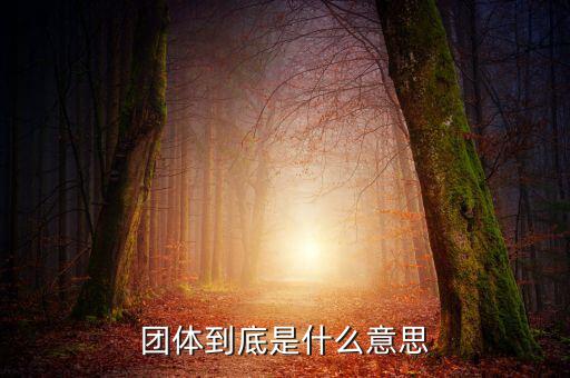 游說團體是什么，什么是團體