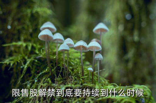St云網(wǎng)限售股什么時候解禁，限售股解禁到底要持續(xù)到什么時候現(xiàn)在搞完一半了嗎