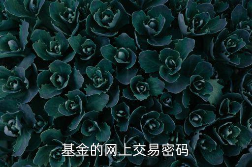 基金交易密碼是什么，基金的網(wǎng)上交易密碼