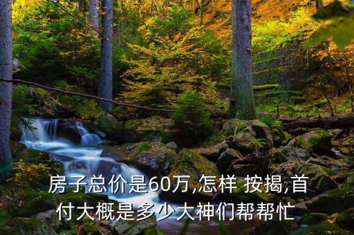  房子總價(jià)是60萬(wàn),怎樣 按揭,首付大概是多少大神們幫幫忙