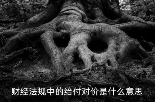 支付對(duì)價(jià)是什么意思，財(cái)經(jīng)法規(guī)中的給付對(duì)價(jià)是什么意思
