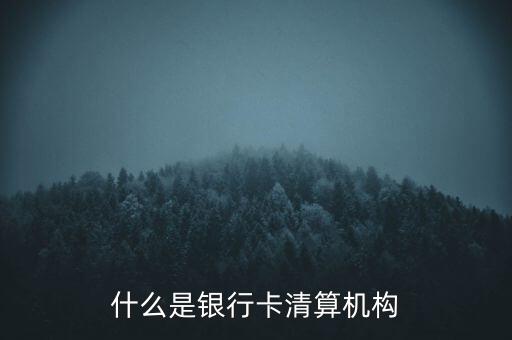 同一卡組織清算機(jī)構(gòu)指什么，銀行卡清算機(jī)構(gòu)銀行支付機(jī)構(gòu)到底有什么區(qū)