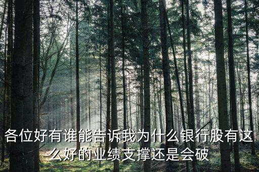 銀行股為什么破凈，為什么銀行股有這么好的業(yè)績(jī)支撐凈資產(chǎn)收益率又這么高還是會(huì)