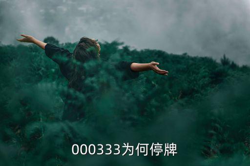 000333為什么停盤，000333為何停牌