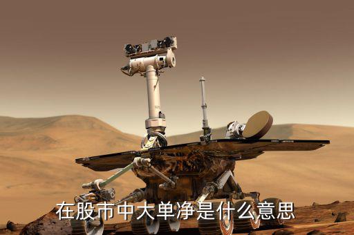 大單凈值什么意思，大單凈比是什么意思