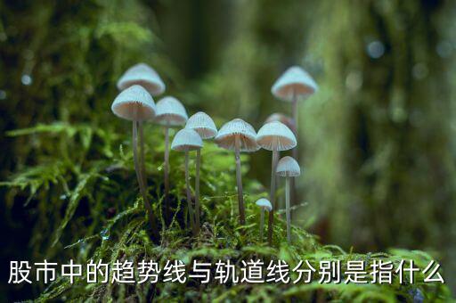 什么是股票軌道線，股票 軌道是什么
