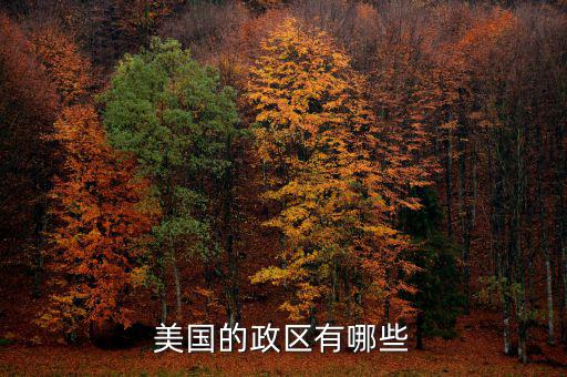 美國(guó)地方政府自治包括什么，美國(guó)的政府體制是什么