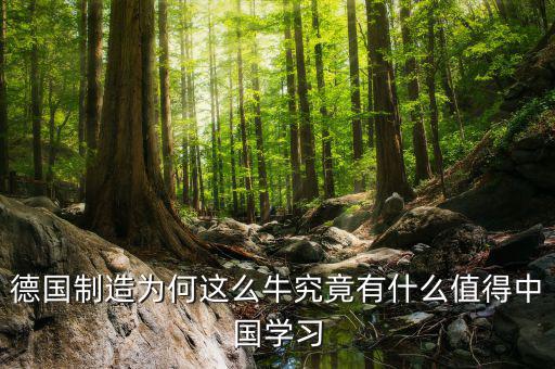 德國(guó)制造學(xué)什么，請(qǐng)問知情的盆友們?nèi)サ聡?guó)留學(xué)材料加工類鑄造焊接模具