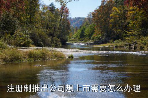 注冊制上市要什么條件，注冊制推出公司想上市需要怎么辦理