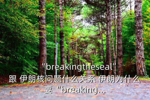“breakingtheseal”跟 伊朗核問題什么關系 伊朗為什么要“breaking...