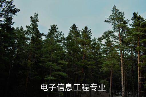 電子信息工程專(zhuān)業(yè)